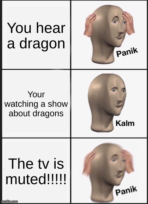 Panik Kalm Panik Meme | You hear a dragon; Your watching a show about dragons; The tv is muted!!!!! | image tagged in memes,panik kalm panik | made w/ Imgflip meme maker