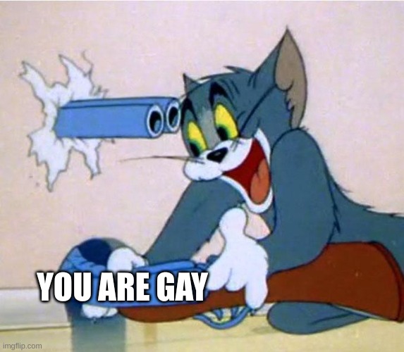 tom shotgun | YOU ARE GAY | image tagged in tom shotgun | made w/ Imgflip meme maker