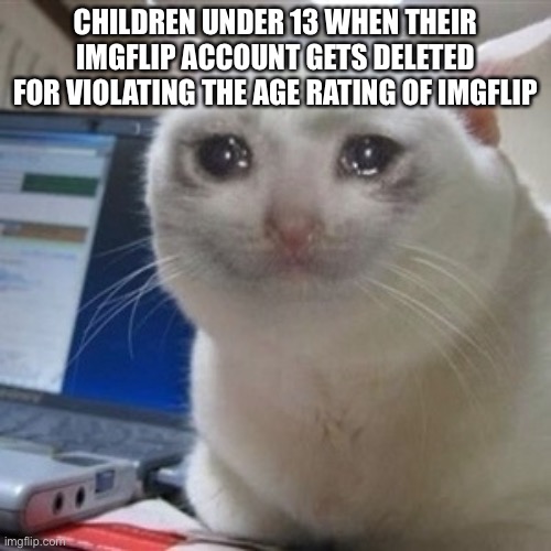 Age ratings are shet | CHILDREN UNDER 13 WHEN THEIR IMGFLIP ACCOUNT GETS DELETED FOR VIOLATING THE AGE RATING OF IMGFLIP | image tagged in crying cat,children under 13,13,imgflip | made w/ Imgflip meme maker