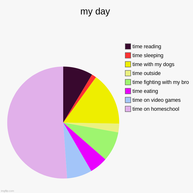 my day | time on homeschool, time on video games, time eating, time fighting with my bro, time outside, time with my dogs, time sleeping, ti | image tagged in charts,pie charts | made w/ Imgflip chart maker