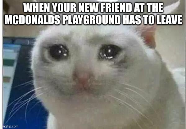 Cat | WHEN YOUR NEW FRIEND AT THE MCDONALDS PLAYGROUND HAS TO LEAVE | image tagged in crying cat | made w/ Imgflip meme maker