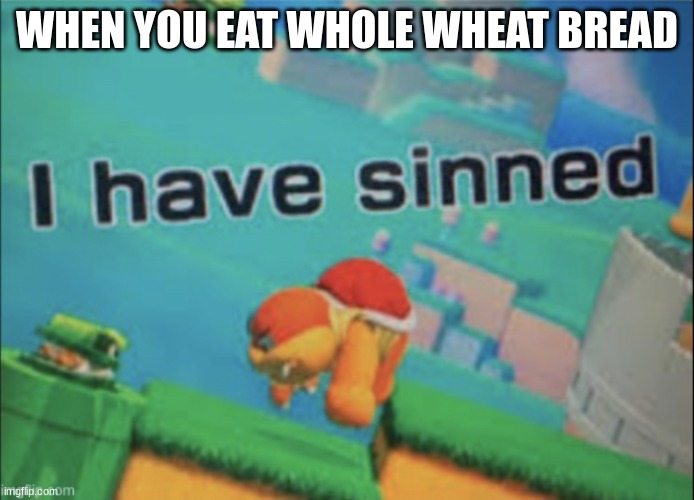 I have sinned |  WHEN YOU EAT WHOLE WHEAT BREAD | image tagged in i have sinned | made w/ Imgflip meme maker