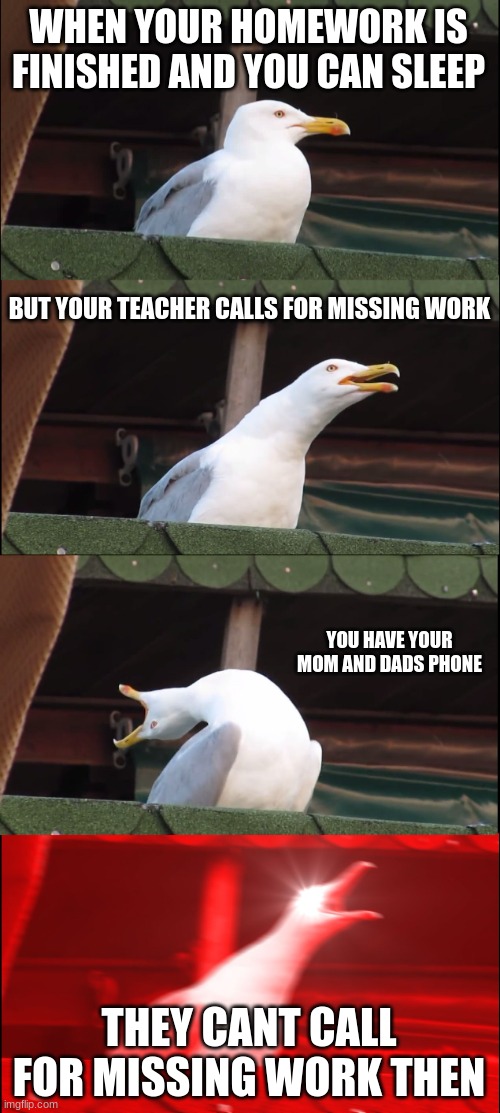 Inhaling Seagull | WHEN YOUR HOMEWORK IS FINISHED AND YOU CAN SLEEP; BUT YOUR TEACHER CALLS FOR MISSING WORK; YOU HAVE YOUR MOM AND DADS PHONE; THEY CANT CALL FOR MISSING WORK THEN | image tagged in memes,inhaling seagull | made w/ Imgflip meme maker