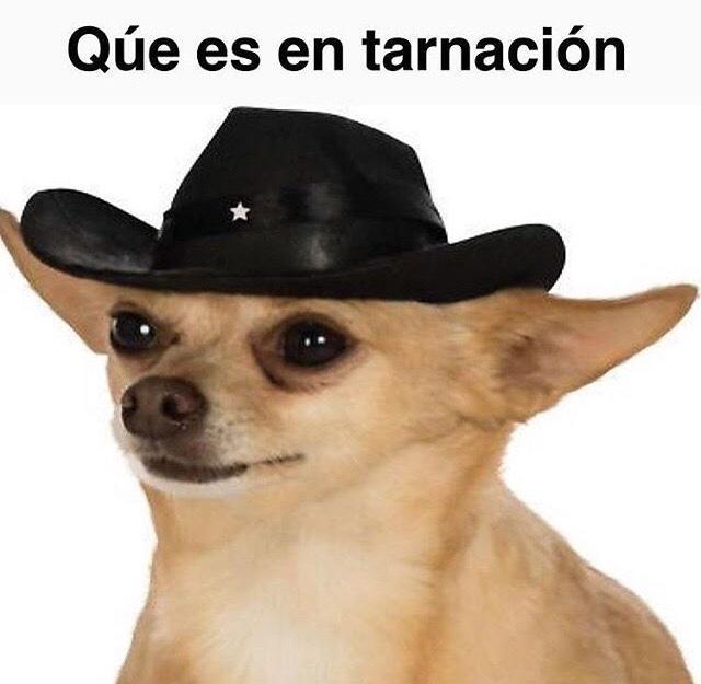 High Quality What in Tarnation Spanish addition Blank Meme Template