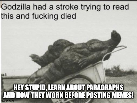 Godzilla | HEY STUPID, LEARN ABOUT PARAGRAPHS AND HOW THEY WORK BEFORE POSTING MEMES! | image tagged in godzilla | made w/ Imgflip meme maker