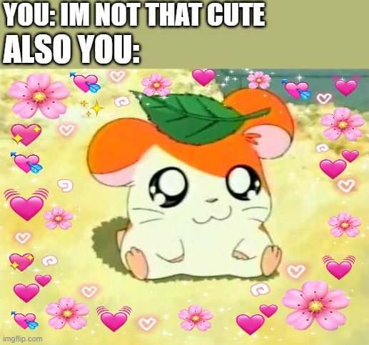 you are fricking adorable | YOU: IM NOT THAT CUTE; ALSO YOU: | image tagged in memes,hamtaro,wholesome | made w/ Imgflip meme maker