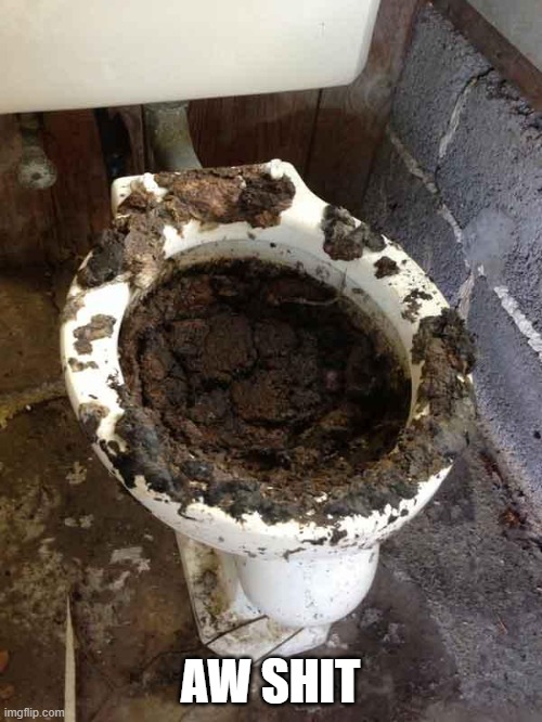 toilet | AW SHIT | image tagged in toilet | made w/ Imgflip meme maker