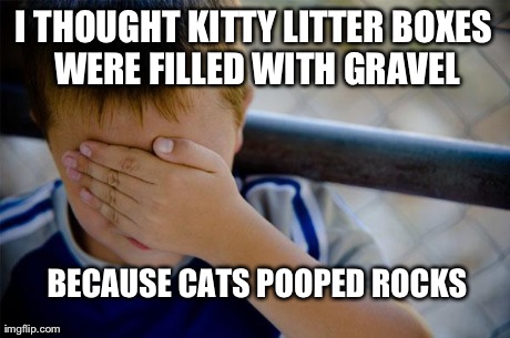 Confession Kid Meme | I THOUGHT KITTY LITTER BOXES WERE FILLED WITH GRAVEL BECAUSE CATS POOPED ROCKS | image tagged in memes,confession kid,AdviceAnimals | made w/ Imgflip meme maker