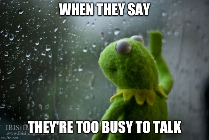 Me having no life to be too busy | WHEN THEY SAY; THEY'RE TOO BUSY TO TALK | image tagged in kermit window,busy,lonely | made w/ Imgflip meme maker
