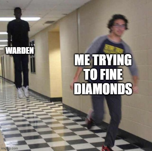 New Minecraft update be like | WARDEN; ME TRYING TO FINE DIAMONDS | image tagged in floating boy chasing running boy | made w/ Imgflip meme maker