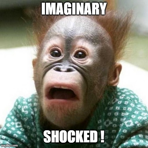 Shocked Monkey | IMAGINARY SHOCKED ! | image tagged in shocked monkey | made w/ Imgflip meme maker