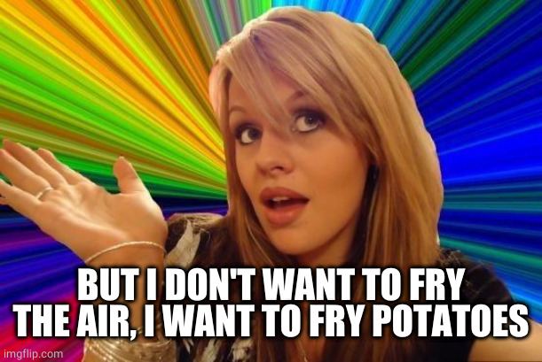 Dumb Blonde Meme | BUT I DON'T WANT TO FRY THE AIR, I WANT TO FRY POTATOES | image tagged in memes,dumb blonde | made w/ Imgflip meme maker