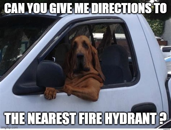 CAN YOU GIVE ME DIRECTIONS TO THE NEAREST FIRE HYDRANT ? | made w/ Imgflip meme maker