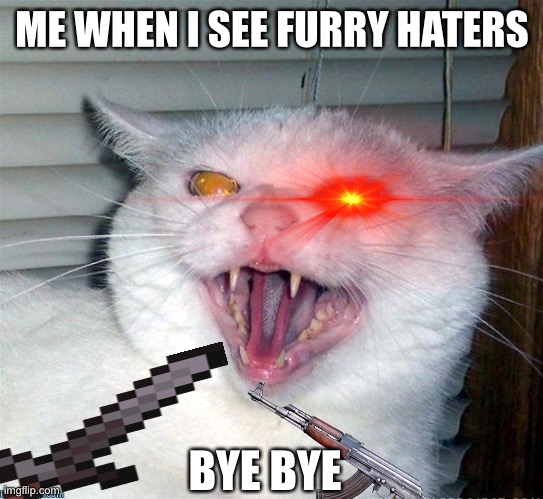 kill furry haters - Imgflip