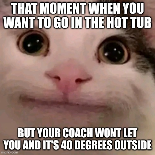 this happenes to me at swim practice | THAT MOMENT WHEN YOU WANT TO GO IN THE HOT TUB; BUT YOUR COACH WONT LET YOU AND IT'S 40 DEGREES OUTSIDE | image tagged in beluga | made w/ Imgflip meme maker