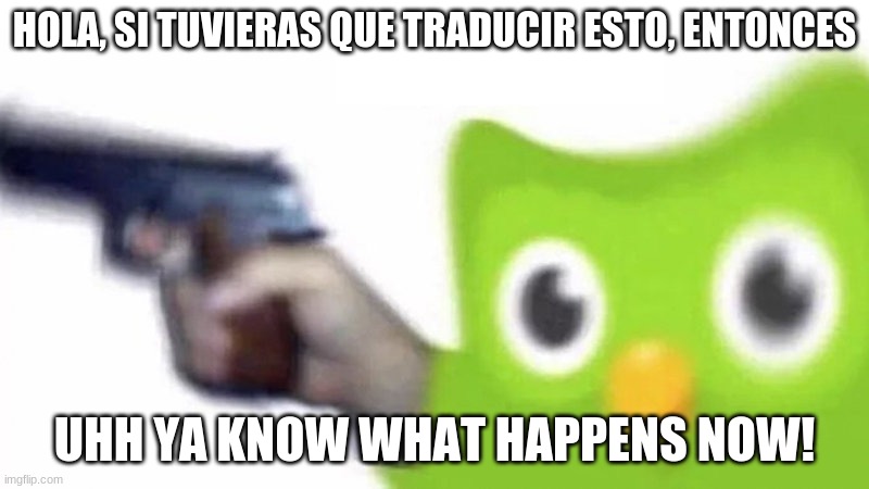 Uh oh | HOLA, SI TUVIERAS QUE TRADUCIR ESTO, ENTONCES; UHH YA KNOW WHAT HAPPENS NOW! | image tagged in duolingo gun,you know what happens now,hehe,stalker | made w/ Imgflip meme maker