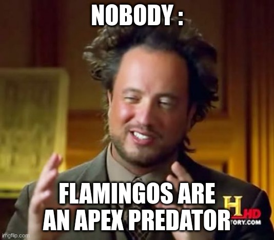 Imagine this in an austrailian accent | NOBODY :; FLAMINGOS ARE AN APEX PREDATOR | image tagged in memes,ancient aliens | made w/ Imgflip meme maker