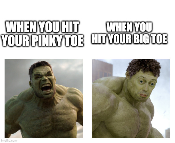 Fact | WHEN YOU HIT YOUR BIG TOE; WHEN YOU HIT YOUR PINKY TOE | image tagged in hulk angry then realizes he's wrong | made w/ Imgflip meme maker