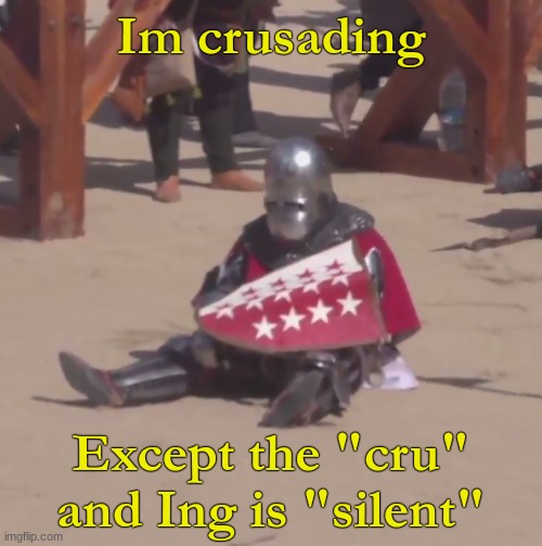 Pov: You don't get to use the clothing pole as a sword | Im crusading; Except the "cru" and Ing is "silent" | image tagged in sad crusader noises | made w/ Imgflip meme maker