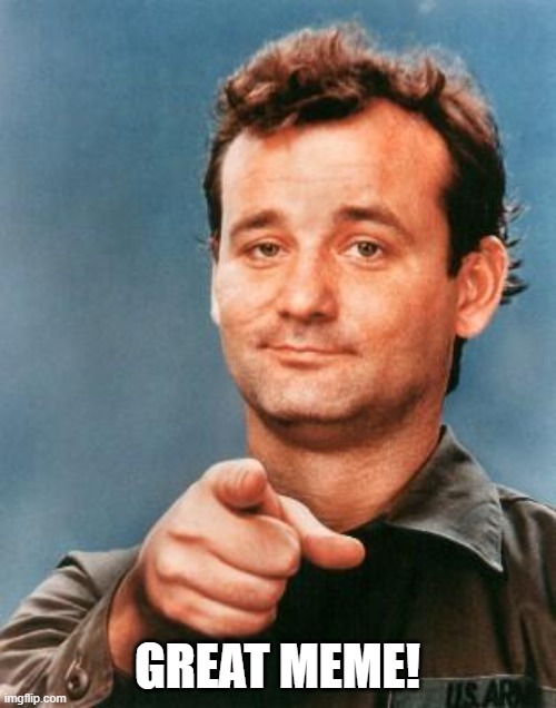 Bill Murray You're Awesome | GREAT MEME! | image tagged in bill murray you're awesome | made w/ Imgflip meme maker