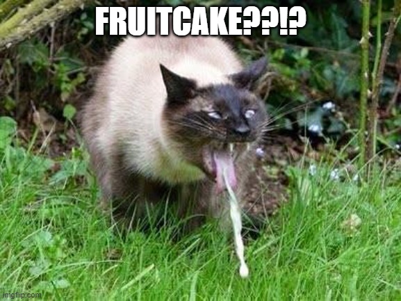 Cat Barfing | FRUITCAKE??!? | image tagged in cat barfing | made w/ Imgflip meme maker