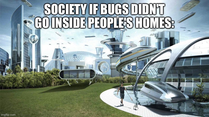 just killed two massive silverfish in my bedroom | SOCIETY IF BUGS DIDN'T GO INSIDE PEOPLE'S HOMES: | image tagged in the future world if | made w/ Imgflip meme maker