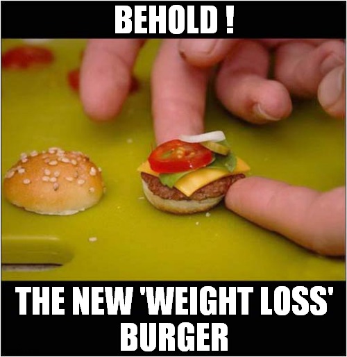 A Royale With Cheese (And Tomato) ! | BEHOLD ! THE NEW 'WEIGHT LOSS'
BURGER | image tagged in burger,small,weight loss | made w/ Imgflip meme maker