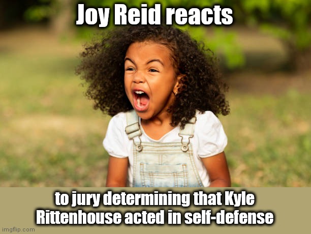 Racist Joy-less Reid reacts to Rittenhouse verdict | Joy Reid reacts; to jury determining that Kyle Rittenhouse acted in self-defense | image tagged in temper tantrum girl,joy reid,racist,liberal hypocrisy,kyle rittenhouse aquittal,msm lies | made w/ Imgflip meme maker