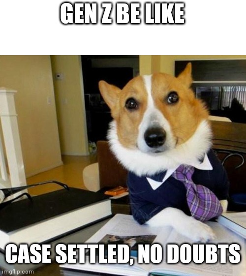 Lawyer Corgi Dog | GEN Z BE LIKE CASE SETTLED, NO DOUBTS | image tagged in lawyer corgi dog | made w/ Imgflip meme maker