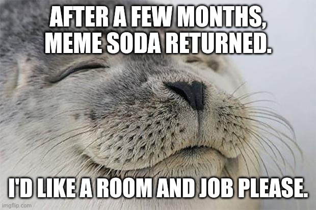 Satisfied Seal | AFTER A FEW MONTHS, MEME SODA RETURNED. I'D LIKE A ROOM AND JOB PLEASE. | image tagged in memes,satisfied seal | made w/ Imgflip meme maker