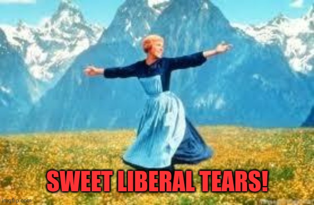 Look At All These Meme | SWEET LIBERAL TEARS! | image tagged in memes,look at all these | made w/ Imgflip meme maker