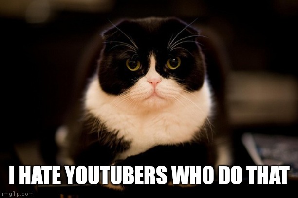 Upset cat | I HATE YOUTUBERS WHO DO THAT | image tagged in upset cat | made w/ Imgflip meme maker
