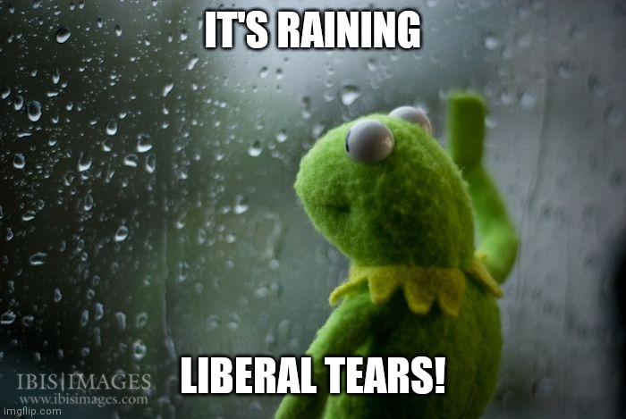 kermit window | IT'S RAINING LIBERAL TEARS! | image tagged in kermit window | made w/ Imgflip meme maker