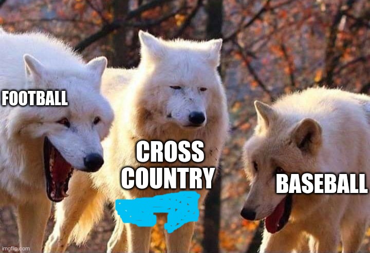 Those stupid shorts | FOOTBALL; BASEBALL; CROSS COUNTRY | image tagged in wolfs laughing | made w/ Imgflip meme maker