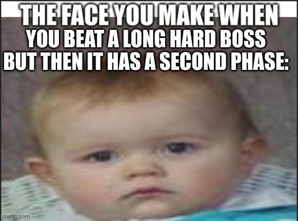 Bro | YOU BEAT A LONG HARD BOSS BUT THEN IT HAS A SECOND PHASE: | image tagged in the face you make when x | made w/ Imgflip meme maker