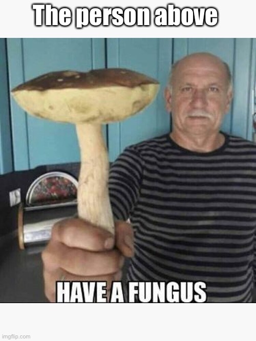 Have a fungus | The person above | image tagged in have a fungus | made w/ Imgflip meme maker