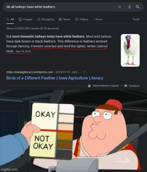racist peter griffin family guy Memes & GIFs - Imgflip