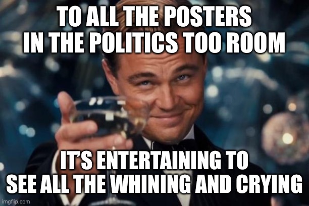 Leonardo Dicaprio Cheers | TO ALL THE POSTERS IN THE POLITICS TOO ROOM; IT’S ENTERTAINING TO SEE ALL THE WHINING AND CRYING | image tagged in memes,leonardo dicaprio cheers | made w/ Imgflip meme maker