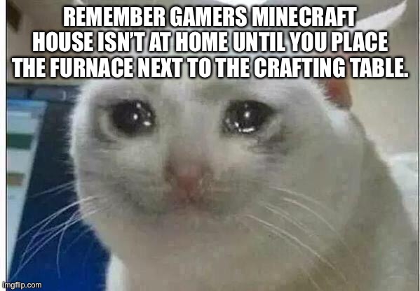 crying cat | REMEMBER GAMERS MINECRAFT HOUSE ISN’T AT HOME UNTIL YOU PLACE THE FURNACE NEXT TO THE CRAFTING TABLE. | image tagged in crying cat | made w/ Imgflip meme maker