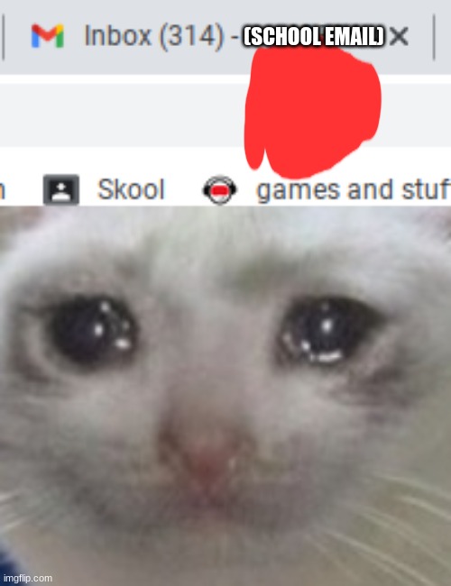 (SCHOOL EMAIL) | image tagged in crying cat | made w/ Imgflip meme maker