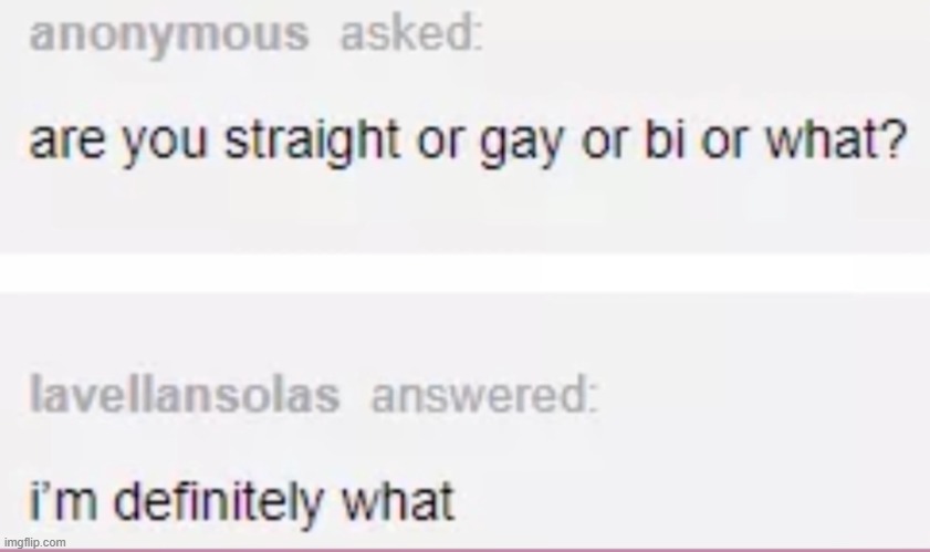 image tagged in gay,straight,bisexual,what,tumblr | made w/ Imgflip meme maker