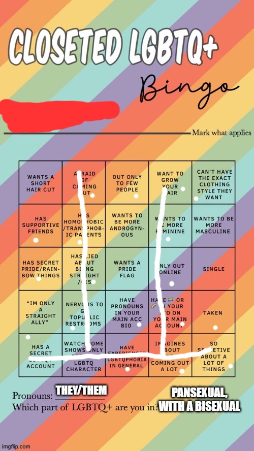 Closeted LGBTQ+ Bingo | PANSEXUAL, WITH A BISEXUAL; THEY/THEM | image tagged in closeted lgbtq bingo | made w/ Imgflip meme maker
