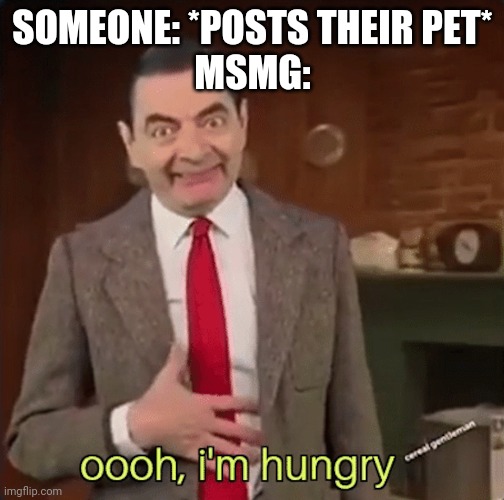 Mr Bean im hungry | SOMEONE: *POSTS THEIR PET*
MSMG: | image tagged in mr bean im hungry | made w/ Imgflip meme maker