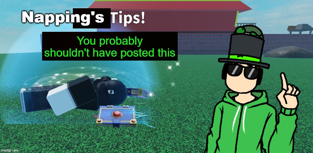 Napping's Tips | You probably shouldn't have posted this | image tagged in napping's tips | made w/ Imgflip meme maker