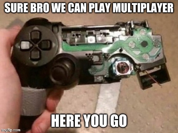 SURE BRO WE CAN PLAY MULTIPLAYER; HERE YOU GO | image tagged in gaming,dank memes | made w/ Imgflip meme maker