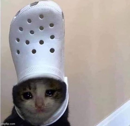 Sad croc cat | image tagged in sad croc cat | made w/ Imgflip meme maker