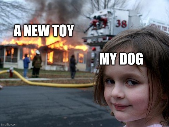 Disaster Girl | A NEW TOY; MY DOG | image tagged in memes,disaster girl | made w/ Imgflip meme maker