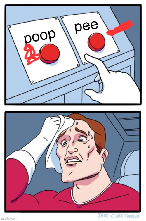 Two Buttons Meme | pee; poop | image tagged in memes,two buttons | made w/ Imgflip meme maker
