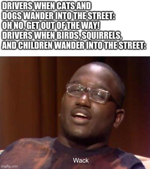 Very dark meme | DRIVERS WHEN CATS AND DOGS WANDER INTO THE STREET: 
OH NO, GET OUT OF THE WAY! 
DRIVERS WHEN BIRDS, SQUIRRELS, AND CHILDREN WANDER INTO THE STREET: | image tagged in wack | made w/ Imgflip meme maker