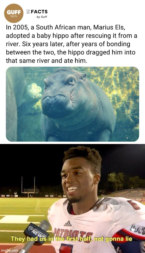 He wanted a hippopotamus for Christmas | image tagged in they had us in the first half,adopted,hippopotamus,eat,human | made w/ Imgflip meme maker